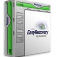 EasyRecovery Professional 2012